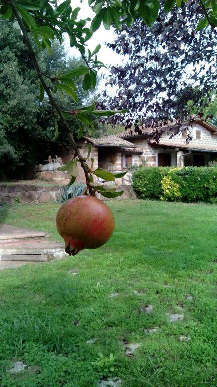 Agriturismo Casale Loreto Corchiano Dış mekan fotoğraf